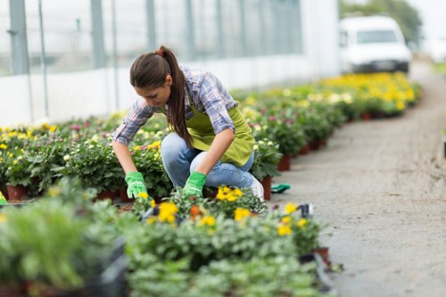 Person using assistive technology while viewing Landscapers Lewisham content