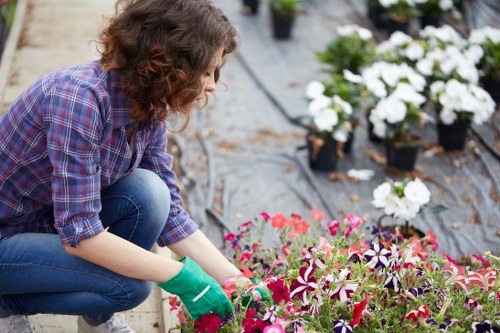 Landscaping team working on a garden in Lewisham
