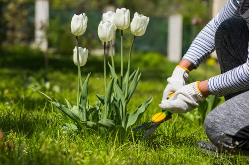 A person wearing striped sleeves and white gardening gloves is kneeling on a lush green lawn, using a small garden trowel to tend to a cluster of white tulips with tall, slender stems and broad green leaves. The garden features a well-maintained grassy area with a neatly edged flower bed, bordered by soil and small plants. In the background, there are blurred garden elements such as a hedge or fence, indicating a tidy outdoor space typical of residential gardens in Lewisham. The scene is set under natural daylight, suggesting a clear, mild day suitable for gardening activities. The image highlights professional garden maintenance and planting work, aligning with services offered by Landscapers Lewisham for garden makeovers and outdoor landscaping projects.