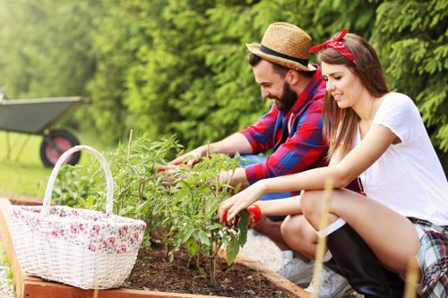 A young man and woman are gardening outdoors in a landscaped garden in Lewisham, working together to tend to a small tomato plant in a raised flower bed. The man, wearing a straw hat and a red and blue checkered shirt, is carefully handling the plant, while the woman, with long brown hair and a red headband, is leaning forward and assisting. A white wicker basket with pink floral patterns is placed on the edge of the wooden garden bed, which contains rich, dark soil. Behind them, a neatly trimmed hedge and lush green trees create a natural background, indicating a well-maintained outdoor space typical of residential gardens in the Lewisham area. The setting is bathed in natural daylight, suggesting a bright, clear day, ideal for outdoor gardening activities. This scene exemplifies typical gardening and outdoor maintenance work that professional landscapers in Lewisham may undertake to enhance garden aesthetics and plant health, contributing to the overall appeal and functionality of the local outdoor environment.