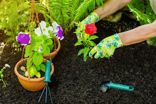 A close-up view of a garden with rich, dark soil where a gardener wearing floral-patterned gloves is planting vibrant red and green flowering plants. In the background, there are hanging terracotta pots containing lush green foliage and colorful flowers, supported by wooden trellises. To the right, a pair of gardening tools, including a small hand rake and pruning shears, are placed on the neatly prepared ground. The scene is set outdoors, with natural sunlight illuminating the garden area, highlighting the textures of the soil, plants, and tools, in a typical residential garden space that could be located in Lewisham. This detailed image reflects gardening activities such as planting and soil preparation, consistent with services offered by Landscapers Lewisham in local garden maintenance and landscaping projects.