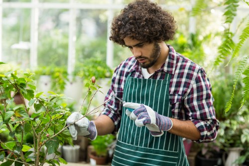 A young man with curly brown hair wearing a green and white striped apron, a checked shirt, and gardening gloves, is carefully pruning a plant with thin branches and small leaves in a lush greenhouse. The greenhouse environment is filled with various green plants, including larger shrubs or small trees in the background, and features clear glass walls allowing natural light to illuminate the vibrant foliage. The scene highlights outdoor garden maintenance and plant care, reflecting professional gardening services available in Lewisham. The atmosphere is bright and fresh, with the greenery showcasing well-maintained, healthy plants suitable for residential or commercial outdoor spaces in the local area.
