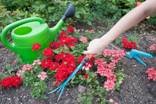 A close-up view of a garden bed in a residential outdoor space, featuring a variety of vibrant red and pink flowering plants with lush green foliage. The garden bed is bordered by rich, dark soil with visible texture, and situated near a well-maintained lawn area. A person is using a small hand fork to carefully tend to the soil among the flowers, with a blue-handled tool visible in their hand. To the left, a green plastic watering can with a black spout sits on the soil, indicating ongoing garden maintenance. In the background, there is a dense hedge or shrubbery providing privacy and a natural backdrop, suggesting a typical suburban garden environment. The scene appears to be in good weather, with natural lighting highlighting the vivid colours of the flowers and the healthy appearance of the plants, reflecting professional garden care practices employed by Landscapers Lewisham, serving the Lewisham area.