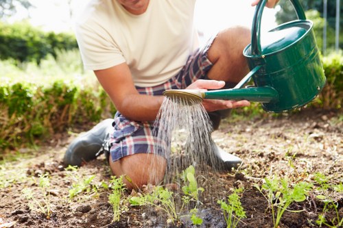 A person kneeling in a small backyard garden, watering young vegetable plants with a green plastic watering can. The garden features a neatly maintained soil bed with small, emerging green plants arranged in rows. Surrounding the garden bed is a grassy lawn area, with a background of lush green hedges and trees, indicating a private outdoor space in Lewisham. The scene is illuminated by natural daylight, suggesting a mild, clear weather day. This outdoor environment showcases typical features of a residential garden that could benefit from professional gardening services such as lawn care, planting, and watering maintenance provided by companies like landscaperslewisham.co.uk. The focus is on the individual’s gardening activity within a well-organized and tidy garden setting, emphasizing sustainable cultivation and outdoor upkeep.