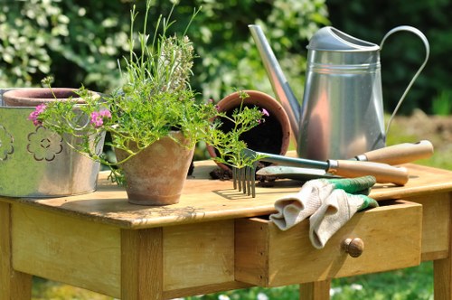 Healthy green grass lawn maintained by experts