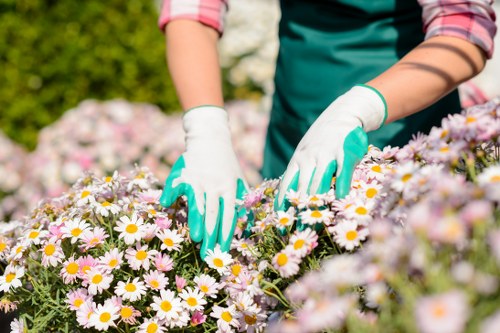 Soil preparation with compost and gardening tools