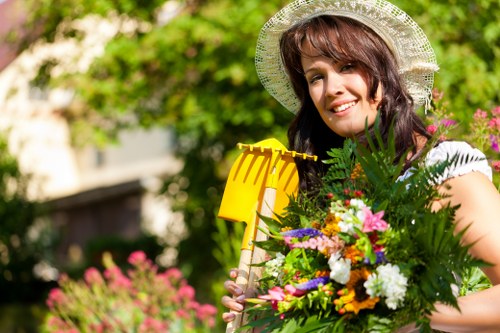 Seasonal lawn care in a Lewisham garden