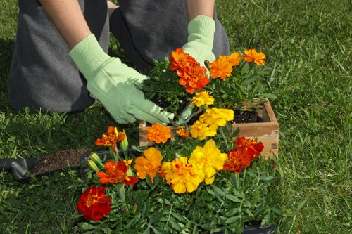 A gardener wearing light green gardening gloves is planting vibrant red, orange, and yellow flowering plants in a garden bed with dark soil. The garden features a well-maintained lawn with lush, green grass in the foreground and a small wooden planter box nearby. The background includes a neat, landscaped yard with evenly trimmed shrubs and possibly trees, indicating careful outdoor maintenance typical of a residential garden in Lewisham. The scene is illuminated by natural daylight, suggesting clear weather, and highlights the detailed textures of the flowering plants, soil, and grass, reflecting professional gardening services offered by Landscapers Lewisham for garden beautification and lawn care.