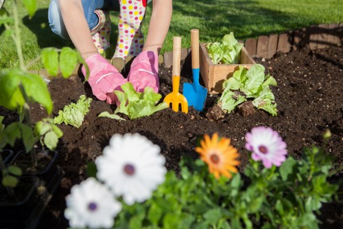 The image shows a gardener, likely a child, wearing pink gardening gloves and planting leafy green vegetables in a well-maintained garden bed enclosed by neat wooden borders. The dark, rich soil appears freshly turned, with some small gardening tools such as a trowel and a cultivator placed upright in the soil nearby. Surrounding the planting area, there are vibrant flowering plants with white, purple, and orange blooms, adding colour contrast to the scene. In the background, a lush, green lawn stretches out, bordered by a row of small bushes or ground cover plants. The environment appears sunny with bright, natural light illuminating the garden, suggesting an outdoor setting in Lewisham or a similar London suburb. The scene reflects careful outdoor gardening, typical of landscaping and sustainable planting practices supported by experienced local landscapers such as Landscapers Lewisham.