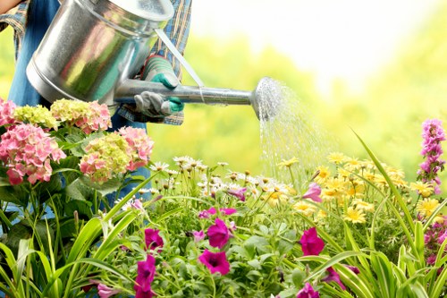 A gardener wearing gloves and a blue jacket is watering a lush flower bed with a silver watering can. The flower bed contains a variety of flowering plants, including pink hydrangeas, purple petunias, and small yellow daisies, with green foliage filling the space. The outdoor garden area has a well-maintained appearance, with vibrant colours and healthy plant growth. In the background, gently blurred trees and shrubs indicate a sunny, bright day, suggesting good weather conditions. The scene is part of a landscaped outdoor space suitable for gardening and lawn care services, with the overall environment appearing tidy and well-kept, typical of a residential front or back garden in Lewisham or nearby areas.