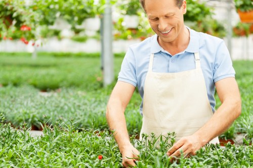 A middle-aged man in a light blue shirt and beige apron is working in a garden, tending to lush green plants that appear to be young shrubbery or flowering plants in a greenhouse environment. The garden area includes a well-maintained lawn with dense, healthy grass in the foreground, bordered by soil beds and potted plants. In the background, there are vertical plant supports or frames, and a variety of plants growing under a glass or polycarbonate roof, allowing natural sunlight to illuminate the space. The overall scene showcases a tidy, vibrant outdoor gardening environment typical of professional landscaping or gardening services in Lewisham, with the focus on careful plant maintenance and sustainable outdoor space creation, reflecting quality gardening care provided by Landscapers Lewisham.