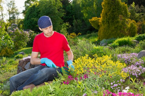 A man wearing a navy blue polka dot cap, a bright red T-shirt, and blue gardening gloves is kneeling in a lush garden with a variety of flowering plants, shrubs, and small trees. The garden features well-maintained flower beds with colorful blooms, including yellow, purple, and pink flowers, bordered by green foliage. In the background, there is dense greenery with tall trees and a variety of bushes, creating a natural outdoor environment typical of a landscaped yard in Lewisham. The scene is brightly lit, suggesting a sunny day, with a mix of natural textures from the grass, soil, and wooden planting borders. This setting exemplifies professional garden care and design, aligning with services offered by landscapers Lewisham for garden makeovers and outdoor maintenance.