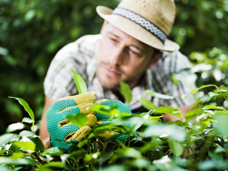 Our experienced team of landscapers at work