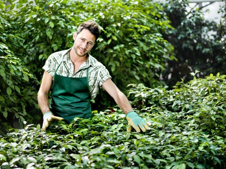 Eco-friendly garden waste disposal in Lewisham