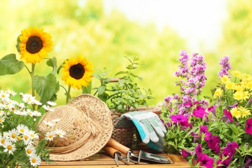 A vibrant and colorful garden scene featuring a variety of flowering plants and garden accessories. In the foreground, there are tall sunflowers with bright yellow petals and dark centers, alongside clusters of white daisies with yellow centers, and purple and pink blooming flowers creating a lush, multicoloured display. To the left, a wide-brimmed straw gardening hat rests on a wooden surface, accompanied by a pair of gardening gloves, and hand tools such as a trowel and pruning scissors. The background showcases a blurred green garden environment with sunlight filtering through, suggesting a warm, sunny day. The overall scene highlights a well-maintained outdoor space suitable for gardening activities, which could be maintained by professionals like Landscapers Lewisham, based near Lewisham in London, serving local gardening and landscaping needs.