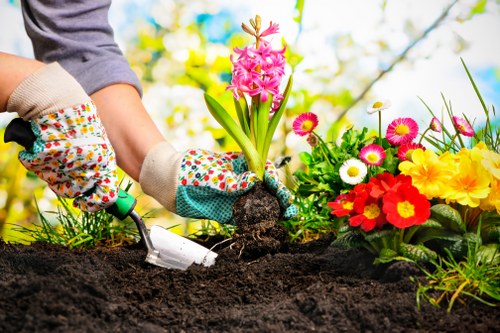 A gardener wearing patterned gloves is planting a pink hyacinth into dark, rich soil in a well-maintained garden. To the right of the planting area, there are vibrant flower beds filled with colorful blooms including yellow, red, white, and pink flowers, creating a lively and diverse display of garden plants. The background features green foliage and a partly cloudy sky, indicating an outdoor environment with natural daylight. The garden area appears organized, with a clear distinction between the flower beds and the planting site. The scene emphasizes professional garden maintenance and planting activities typical of a landscaped yard in Lewisham or nearby areas, highlighting the quality of outdoor gardening services provided by Landscapers Lewisham.