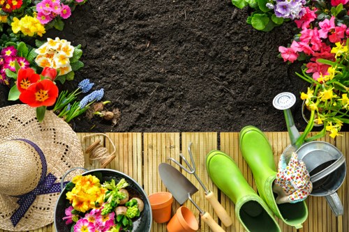 Why choose Landscapers Lewisham - showcasing expertise and quality