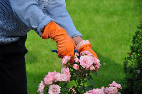Professional gardener maintaining a lush garden in Lewisham