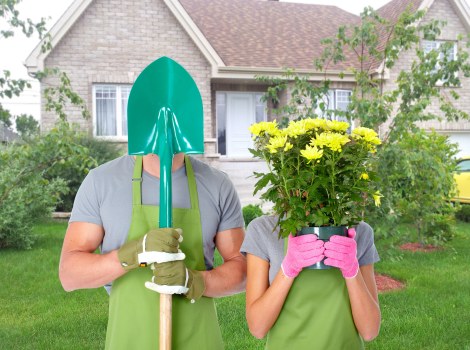Various landscaping services provided by Landscapers Lewisham