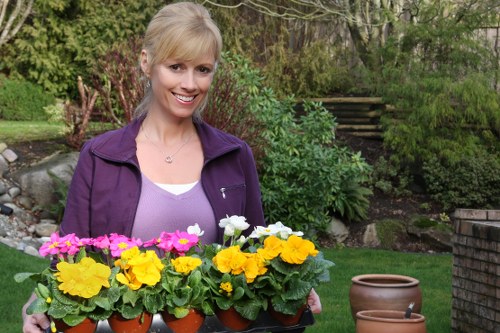 A woman with blonde hair tied back, smiling while standing in a well-maintained garden. She is wearing a purple jacket and holding a tray of colorful flowering plants, including yellow, pink, and white blossoms in terracotta pots. The garden features a neatly trimmed lawn, a variety of shrubs, and small trees in the background, as well as flower beds bordered with bricks. There are a few garden pots placed on the paving area, and a staircase leading to an upper part of the garden is visible behind her. The scene is outdoors during daylight with natural light, reflecting a tidy, landscaped outdoor space typical of residential gardens in Lewisham, suitable for gardening and landscaping services by Landscapers Lewisham.