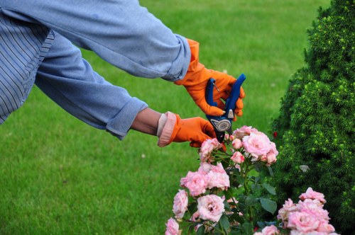 Mission statement of Landscapers Lewisham with outdoor background