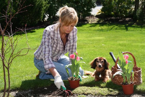 Lewisham landscapers designing a garden
