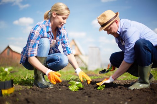 A woman and a man are working together in a landscaped garden, planting a young green shrub in rich, dark soil. The woman, dressed in a blue plaid shirt, blue jeans, and yellow gardening gloves, is carefully handling the plant, while the man, wearing a light blue shirt, dark trousers, a straw hat, and green rubber boots, is assisting with the planting. The garden features neatly maintained grass in the foreground, with a well-defined flower bed border where the planting is taking place. In the background, there are residential buildings and a clear blue sky with a few clouds, indicating a bright, sunny day. The scene depicts outdoor gardening activity consistent with professional landscaping services offered by Landscapers Lewisham, illustrating attention to detail in planting and garden maintenance in the Lewisham area, and emphasizing natural outdoor environments suitable for flower bed creation and planting projects.