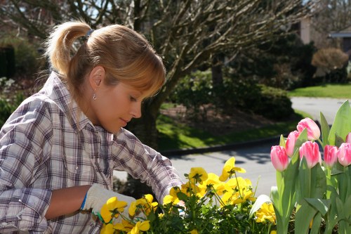 A young girl with blonde hair tied back in a ponytail is seen gardening outdoors in a front or back garden, surrounded by colourful spring flowers including pink tulips and yellow pansies. She is wearing a plaid shirt and gardening gloves, carefully tending to the flower bed, which features a mix of soil and well-maintained plants. In the background, there are trees with budding leaves, a paved pathway, and a neatly trimmed lawn with vibrant green grass. The setting suggests a mild, sunny day in Lewisham, with natural light illuminating the garden and highlighting the varied textures of the plants, paving, and soil. This scene reflects typical outdoor maintenance activities and highlights the importance of proper garden care, which is part of the services provided by landscapers such as Landscapers Lewisham, serving properties within the local area.