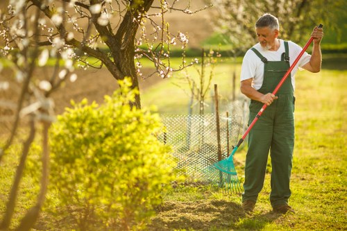 Healthy trees maintained through professional care