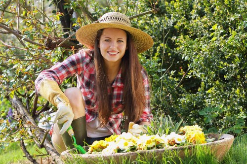Professional garden maintenance in Lewisham