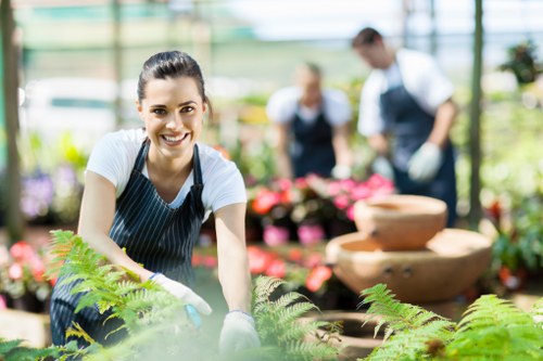 Expert landscapers working in Lewisham garden